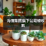 海信集团旗下公司被收购 海信集团旗下公司被收购