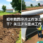 明年我国经济工作怎么干?关注这些重点工作 明年我国经济工作怎么干?关注这些重点工作