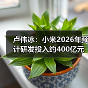 卢伟冰：小米2026年预计研发投入约400亿元