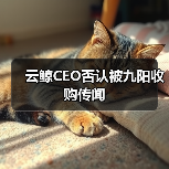云鲸CEO否认被九阳收购传闻 云鲸CEO否认被九阳收购传闻