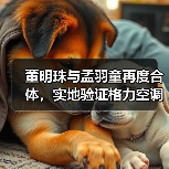 董明珠与孟羽童再度合体,实地验证格力空调的极寒制暖硬核实力 董明珠与孟羽童再度合体,实地验证格力空调的极寒制暖硬核实力