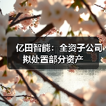 亿田智能:全资子公司拟处置部分资产(图3) 亿田智能:全资子公司拟处置部分资产(图3)