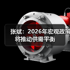 张斌：2026年宏观政策将推动供需平衡（图2）