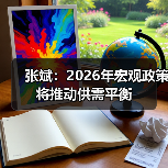 张斌：2026年宏观政策将推动供需平衡（图4）