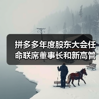 拼多多年度股东大会任命联席董事长和新高管 拼多多年度股东大会任命联席董事长和新高管