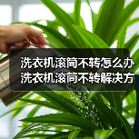 洗衣机滚筒不转怎么办 洗衣机滚筒不转解决方法【详解】（图2）
