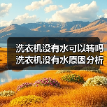 洗衣机没有水可以转吗 洗衣机没有水原因分析【详解】（图2）
