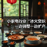 小家电行业“冰火交织”:一边调整一边扩产(图2) 小家电行业“冰火交织”:一边调整一边扩产(图2)