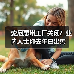 索尼惠州工厂关闭？业内人士称去年已出售