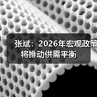 张斌：2026年宏观政策将推动供需平衡（图3）