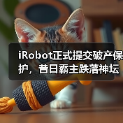 iRobot正式提交破产保护，昔日霸主跌落神坛（图2）