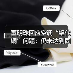 董明珠回应空调“铝代铜”问题：仍未达到同等技术保障，格力在没有 100% 把握之前不会用（图3）