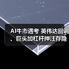 AI牛市遇考 英伟达回调、巨头加杠杆押注存隐忧(图2) AI牛市遇考 英伟达回调、巨头加杠杆押注存隐忧(图2)