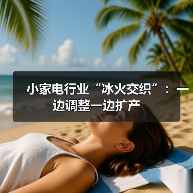 小家电行业“冰火交织”:一边调整一边扩产(图4) 小家电行业“冰火交织”:一边调整一边扩产(图4)