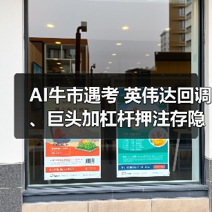 AI牛市遇考 英伟达回调、巨头加杠杆押注存隐忧(图3) AI牛市遇考 英伟达回调、巨头加杠杆押注存隐忧(图3)