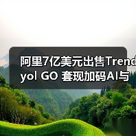 阿里7亿美元出售Trendyol GO 套现加码AI与云计算(图4) 阿里7亿美元出售Trendyol GO 套现加码AI与云计算(图4)
