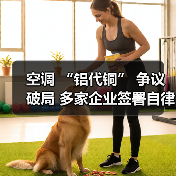空调 “铝代铜” 争议破局 多家企业签署自律公约（图1）