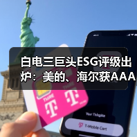 白电三巨头ESG评级出炉:美的、海尔获AAApi级,格力获AApi级(图1) 白电三巨头ESG评级出炉:美的、海尔获AAApi级,格力获AApi级(图1)