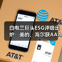 白电三巨头ESG评级出炉:美的、海尔获AAApi级,格力获AApi级(图2) 白电三巨头ESG评级出炉:美的、海尔获AAApi级,格力获AApi级(图2)