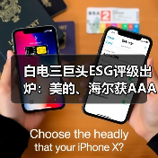 白电三巨头ESG评级出炉:美的、海尔获AAApi级,格力获AApi级(图4) 白电三巨头ESG评级出炉:美的、海尔获AAApi级,格力获AApi级(图4)