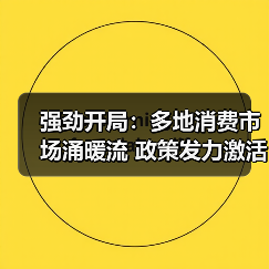 强劲开局：多地消费市场涌暖流 政策发力激活新年“第一把火”（图3）