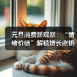 元旦消费新观察:“情绪价值”解锁增长密钥(图4) 元旦消费新观察:“情绪价值”解锁增长密钥(图4)
