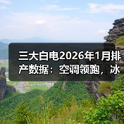 三大白电2026年1月排产数据：空调领跑，冰洗内销双降（图2）
