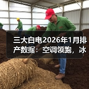 三大白电2026年1月排产数据：空调领跑，冰洗内销双降（图3）