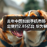 去年中国智能手机市场出货约2.85亿台 华为登顶（图4）