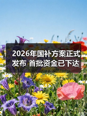 2026年国补方案正式发布 首批资金已下达（图4）