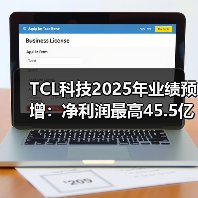 TCL科技2025年业绩预增:净利润最高45.5亿元,同比增长191%(图4) TCL科技2025年业绩预增:净利润最高45.5亿元,同比增长191%(图4)
