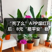 “死了么”APP爆红背后:8元“报平安”戳中亿级独居焦虑(图1) “死了么”APP爆红背后:8元“报平安”戳中亿级独居焦虑(图1)