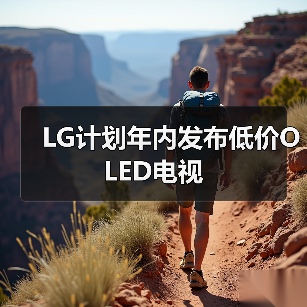 LG计划年内发布低价OLED电视（图1）